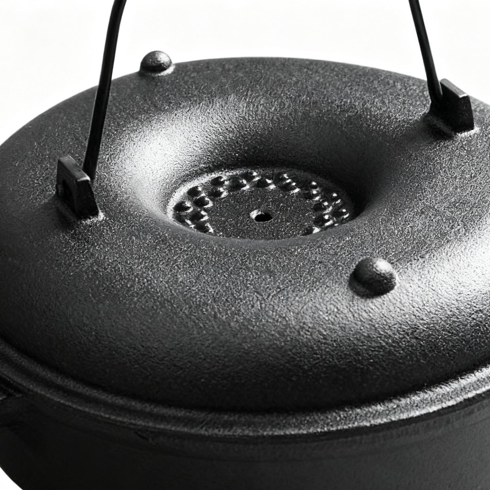Cauldron Pot for Cooking Non-S - Camping Cooking Pot With Lid 评论和价格