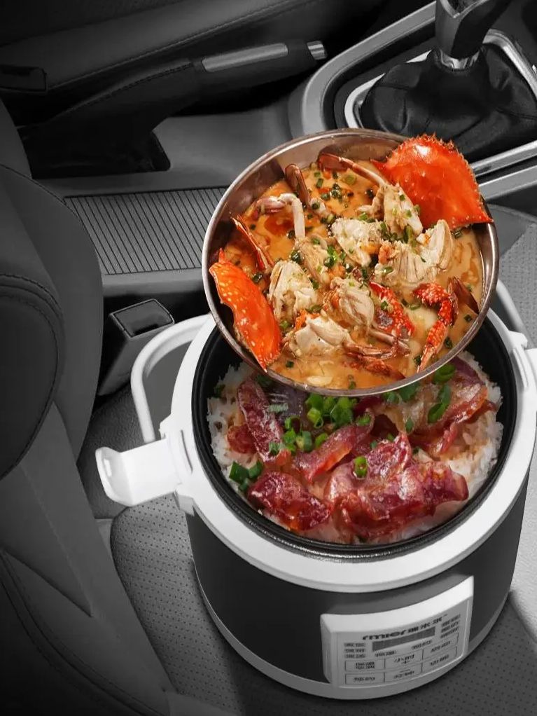 ARIER 12-24V 220V Rice Cooker  - Camping Cooking Basket 评论和价格