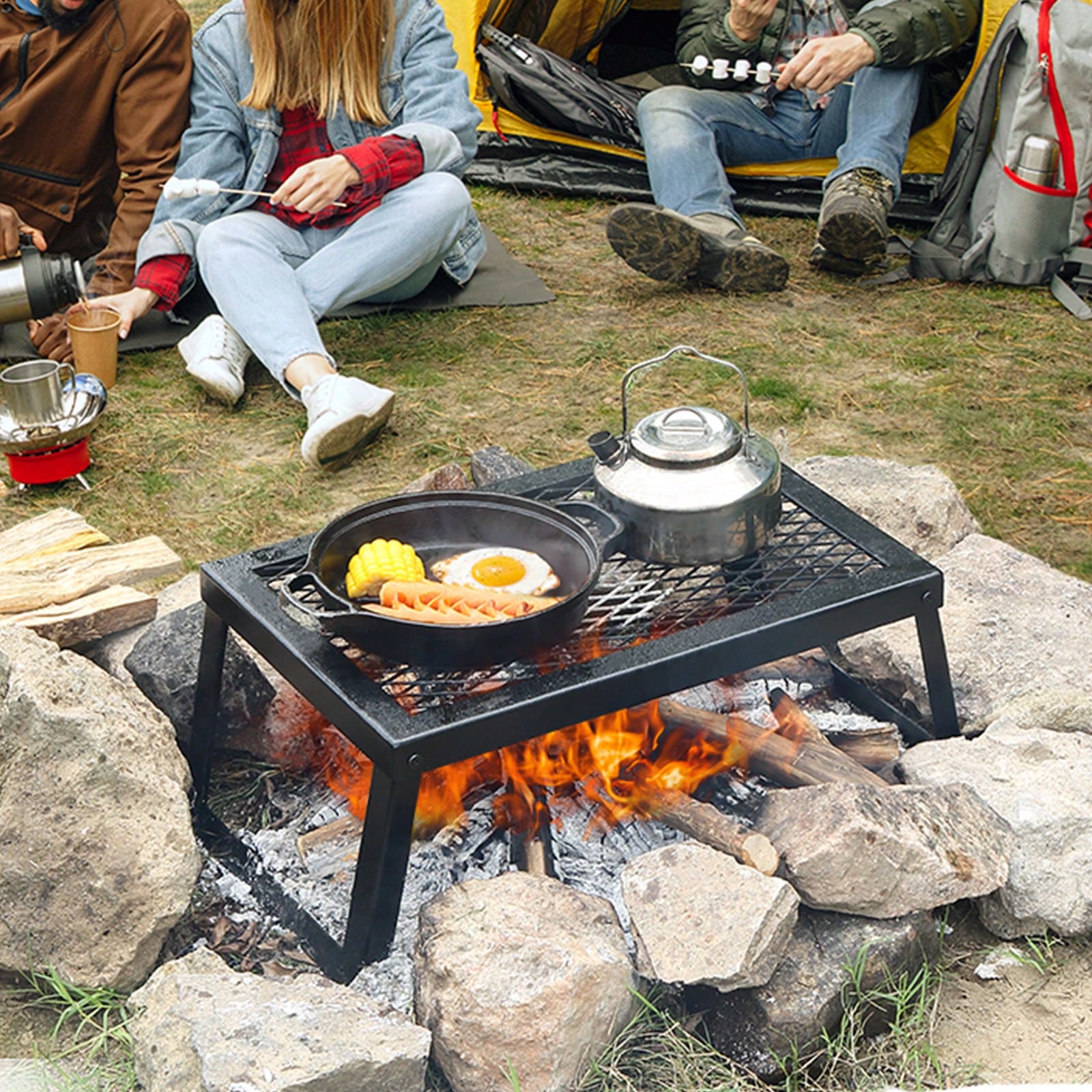 Folding/Swivel Campfire Grill, - Camping Cooking Over Fire 评论和价格